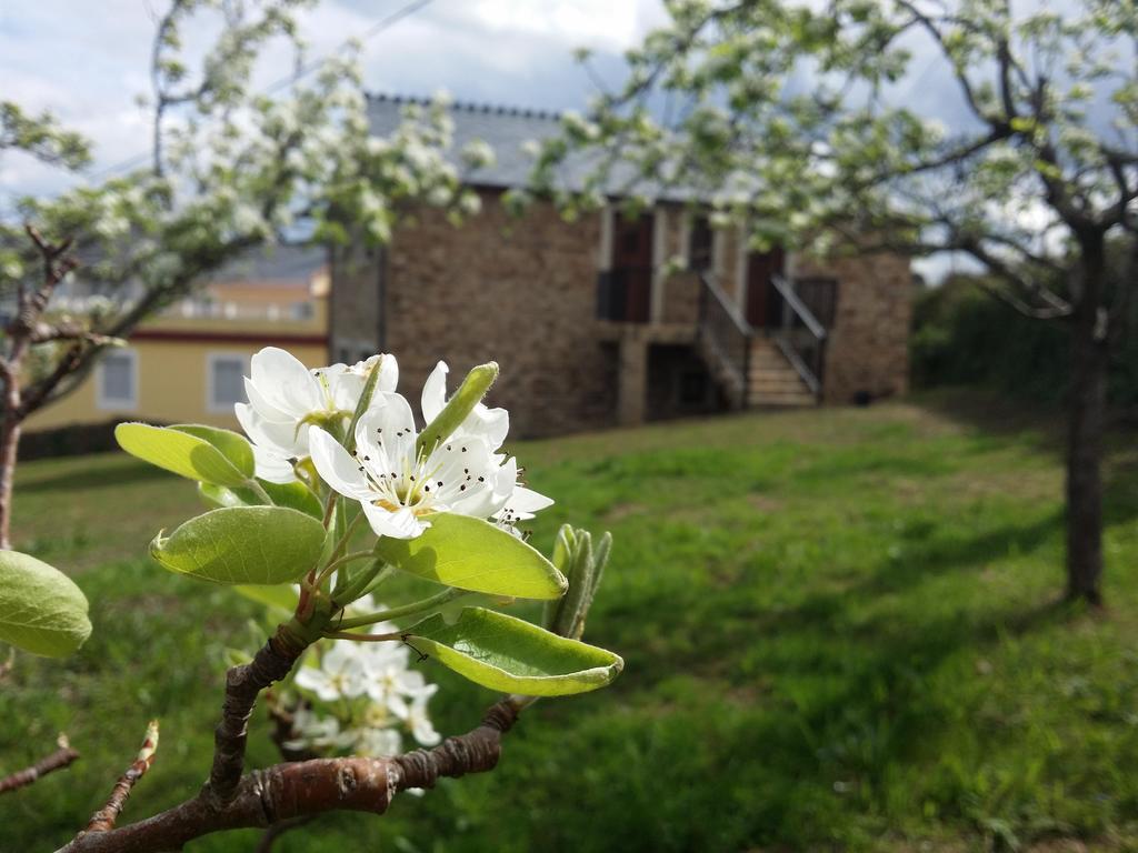 Apartamentos A Palleira Barreiros Dış mekan fotoğraf