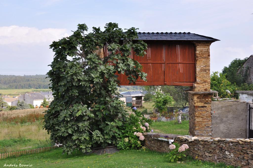 Apartamentos A Palleira Barreiros Dış mekan fotoğraf
